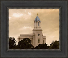 Load image into Gallery viewer, Cedar City Golden Sunshine
