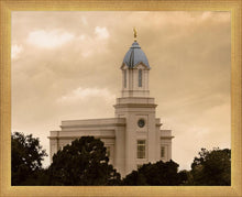 Load image into Gallery viewer, Cedar City Golden Sunshine
