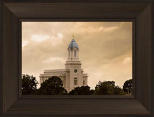 Load image into Gallery viewer, Cedar City Golden Sunshine
