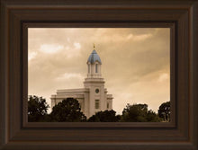 Load image into Gallery viewer, Cedar City Golden Sunshine
