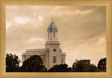Load image into Gallery viewer, Cedar City Golden Sunshine
