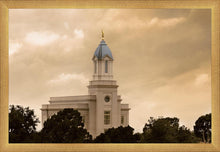 Load image into Gallery viewer, Cedar City Golden Sunshine
