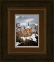 Load image into Gallery viewer, Provo City Center Winter Warmth
