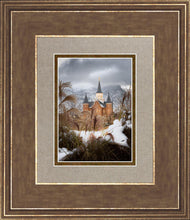 Load image into Gallery viewer, Provo City Center Winter Warmth
