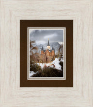 Load image into Gallery viewer, Provo City Center Winter Warmth

