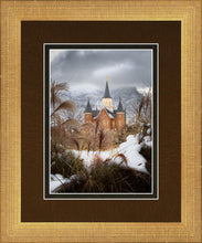 Load image into Gallery viewer, Provo City Center Winter Warmth
