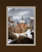 Load image into Gallery viewer, Provo City Center Winter Warmth
