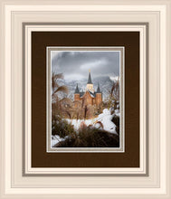 Load image into Gallery viewer, Provo City Center Winter Warmth
