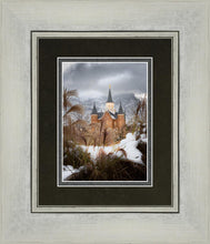Load image into Gallery viewer, Provo City Center Winter Warmth
