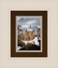 Load image into Gallery viewer, Provo City Center Winter Warmth
