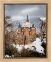 Load image into Gallery viewer, Provo City Center Winter Warmth Gallery Wrap
