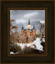 Load image into Gallery viewer, Provo City Center Winter Warmth
