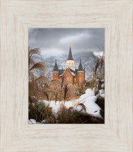 Load image into Gallery viewer, Provo City Center Winter Warmth
