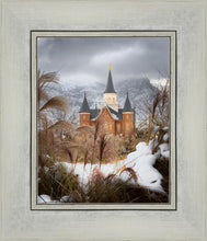 Load image into Gallery viewer, Provo City Center Winter Warmth
