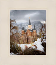 Load image into Gallery viewer, Provo City Center Winter Warmth
