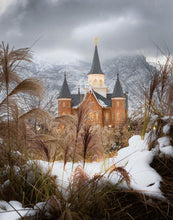Load image into Gallery viewer, Provo City Center Winter Warmth Gallery Wrap
