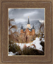 Load image into Gallery viewer, Provo City Center Winter Warmth

