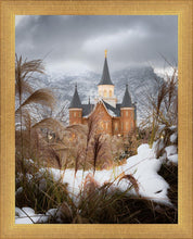 Load image into Gallery viewer, Provo City Center Winter Warmth
