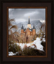 Load image into Gallery viewer, Provo City Center Winter Warmth
