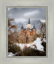 Load image into Gallery viewer, Provo City Center Winter Warmth

