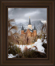 Load image into Gallery viewer, Provo City Center Winter Warmth
