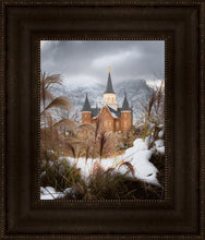 Load image into Gallery viewer, Provo City Center Winter Warmth

