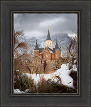 Load image into Gallery viewer, Provo City Center Winter Warmth
