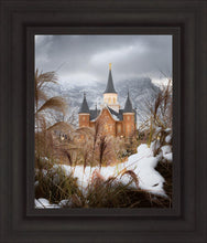 Load image into Gallery viewer, Provo City Center Winter Warmth
