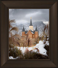 Load image into Gallery viewer, Provo City Center Winter Warmth
