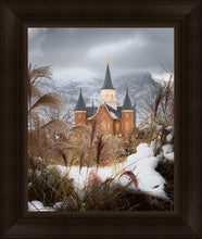 Load image into Gallery viewer, Provo City Center Winter Warmth
