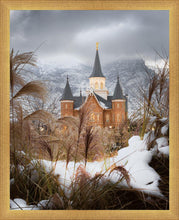 Load image into Gallery viewer, Provo City Center Winter Warmth
