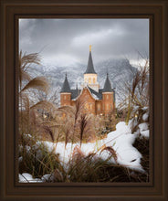 Load image into Gallery viewer, Provo City Center Winter Warmth
