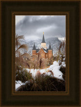 Load image into Gallery viewer, Provo City Center Winter Warmth
