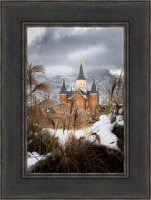 Load image into Gallery viewer, Provo City Center Winter Warmth
