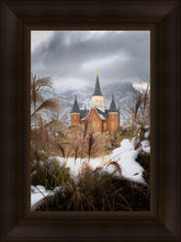 Load image into Gallery viewer, Provo City Center Winter Warmth
