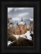 Load image into Gallery viewer, Provo City Center Winter Warmth

