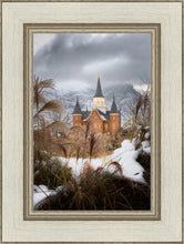 Load image into Gallery viewer, Provo City Center Winter Warmth
