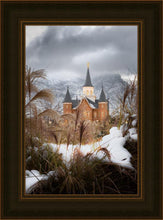 Load image into Gallery viewer, Provo City Center Winter Warmth
