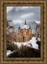 Load image into Gallery viewer, Provo City Center Winter Warmth
