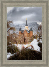 Load image into Gallery viewer, Provo City Center Winter Warmth
