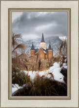 Load image into Gallery viewer, Provo City Center Winter Warmth

