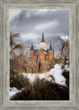 Load image into Gallery viewer, Provo City Center Winter Warmth
