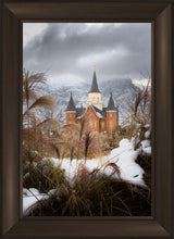 Load image into Gallery viewer, Provo City Center Winter Warmth
