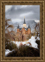 Load image into Gallery viewer, Provo City Center Winter Warmth
