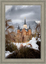 Load image into Gallery viewer, Provo City Center Winter Warmth
