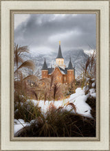 Load image into Gallery viewer, Provo City Center Winter Warmth

