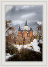 Load image into Gallery viewer, Provo City Center Winter Warmth
