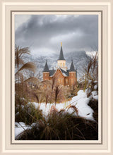 Load image into Gallery viewer, Provo City Center Winter Warmth
