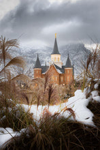 Load image into Gallery viewer, Provo City Center Winter Warmth
