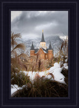 Load image into Gallery viewer, Provo City Center Winter Warmth
